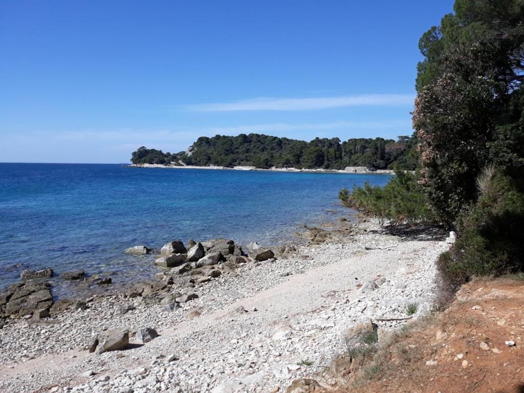 Seaview Apartment Rovinj Zewnętrze zdjęcie